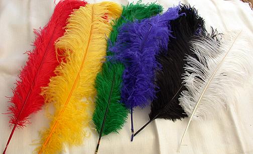 Najecki Reproductions (Ostrich Plumes)